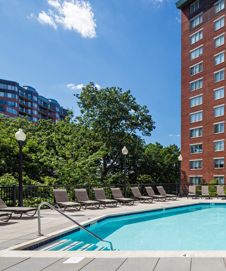 Chaise lounge chairs surrounding the pool at Sofi at 50 Forest in Stamford, Connecticut