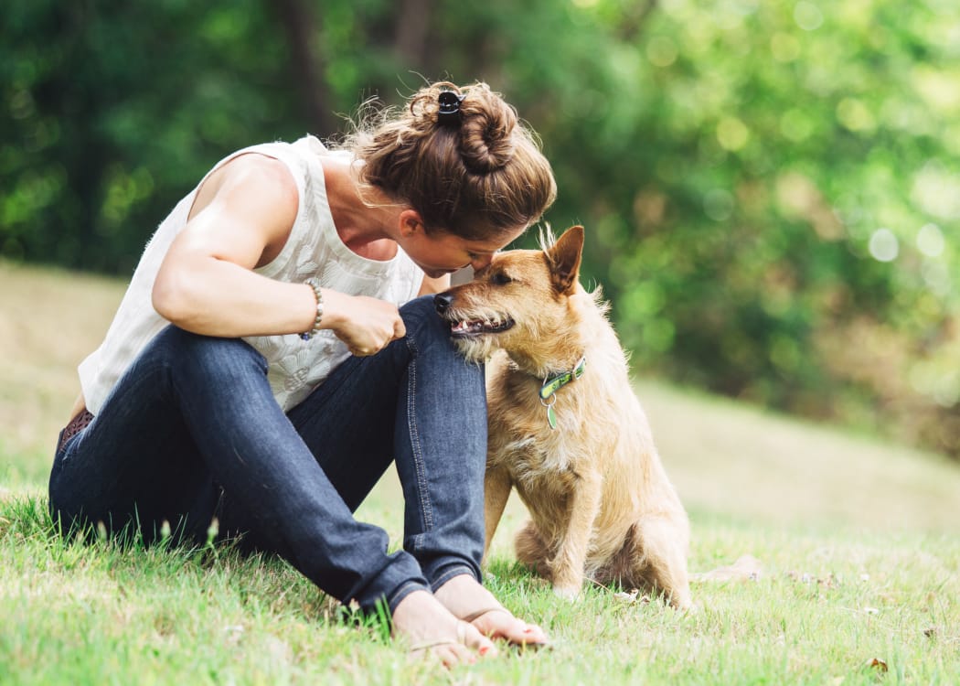 Woman with her dog at a park near Villages at Parktown Apartments