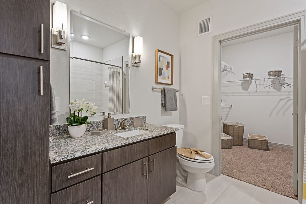 Spacious bathroom with walk-in closet at Olympus Hudson Oaks in Hudson Oaks, Texas