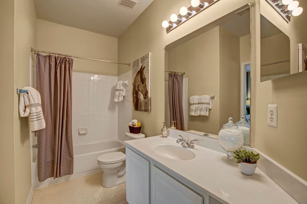 Model bathroom with ample counter space at Windsor Commons Apartments in Baltimore, Maryland