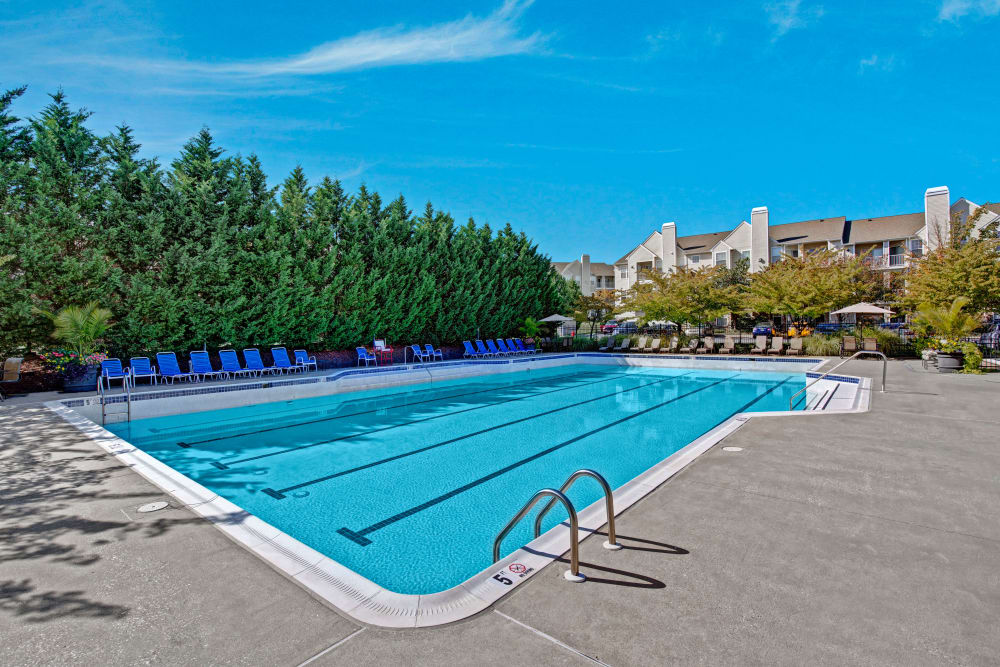 Sparkling pool at Windsor Commons Apartments in Baltimore, Maryland