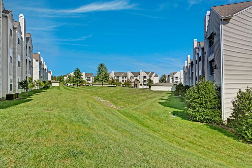 Large grassy area at Windsor Commons Apartments in Baltimore, Maryland