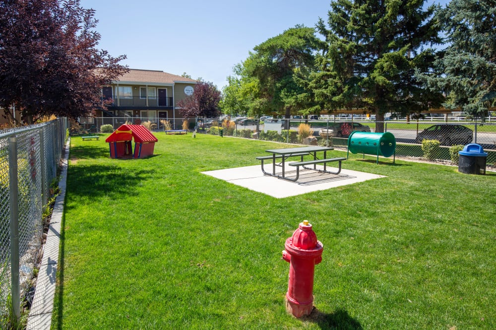 Outdoor park for dogs to run around in at Callaway Apartments in Taylorsville, Utah