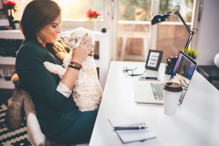 Woman working on her laptop with a dog on her lap at Empire in Henderson, Nevada