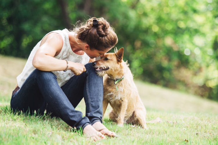 Resident and her dog relaxing on the lawn outside their new home at Doral Station in Miami, Florida