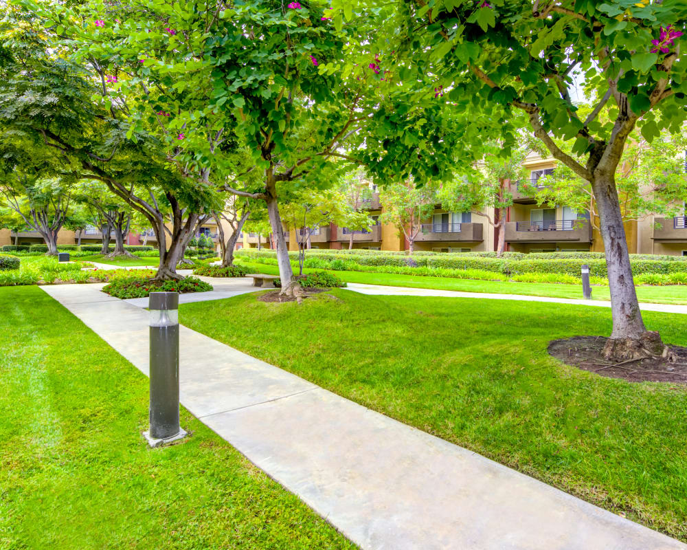 Beautifully maintained green spaces at Sofi Irvine in Irvine, California