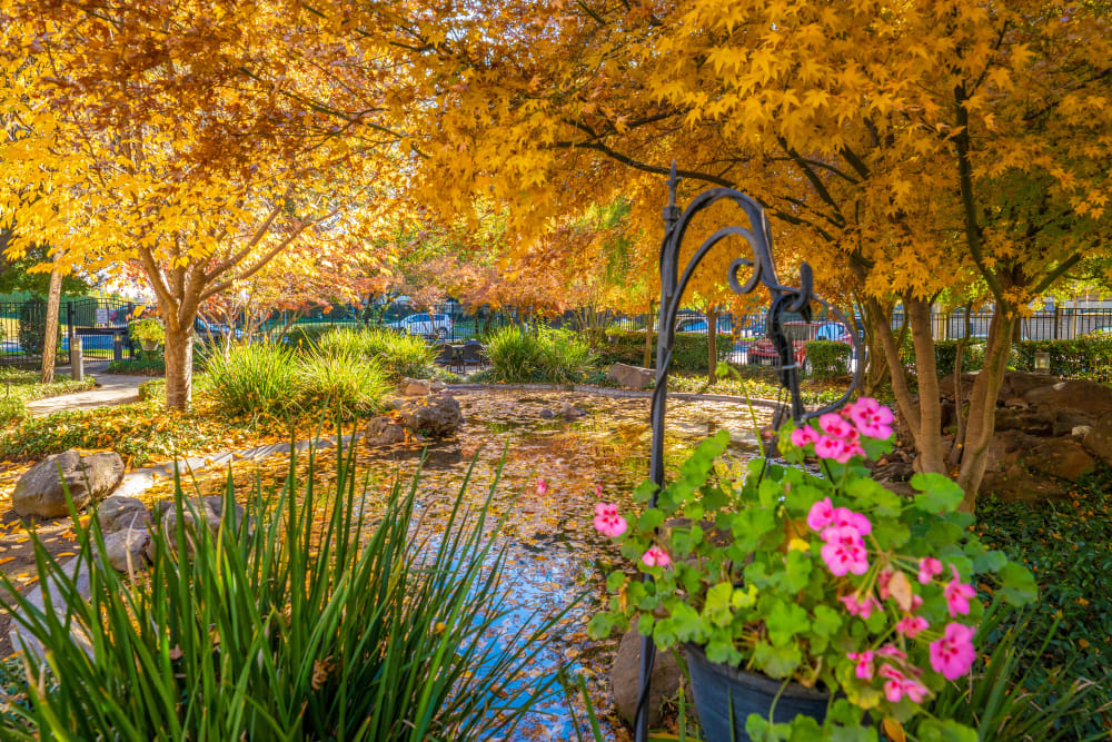 Pond Area at Campus Commons Senior Living in Sacramento, California