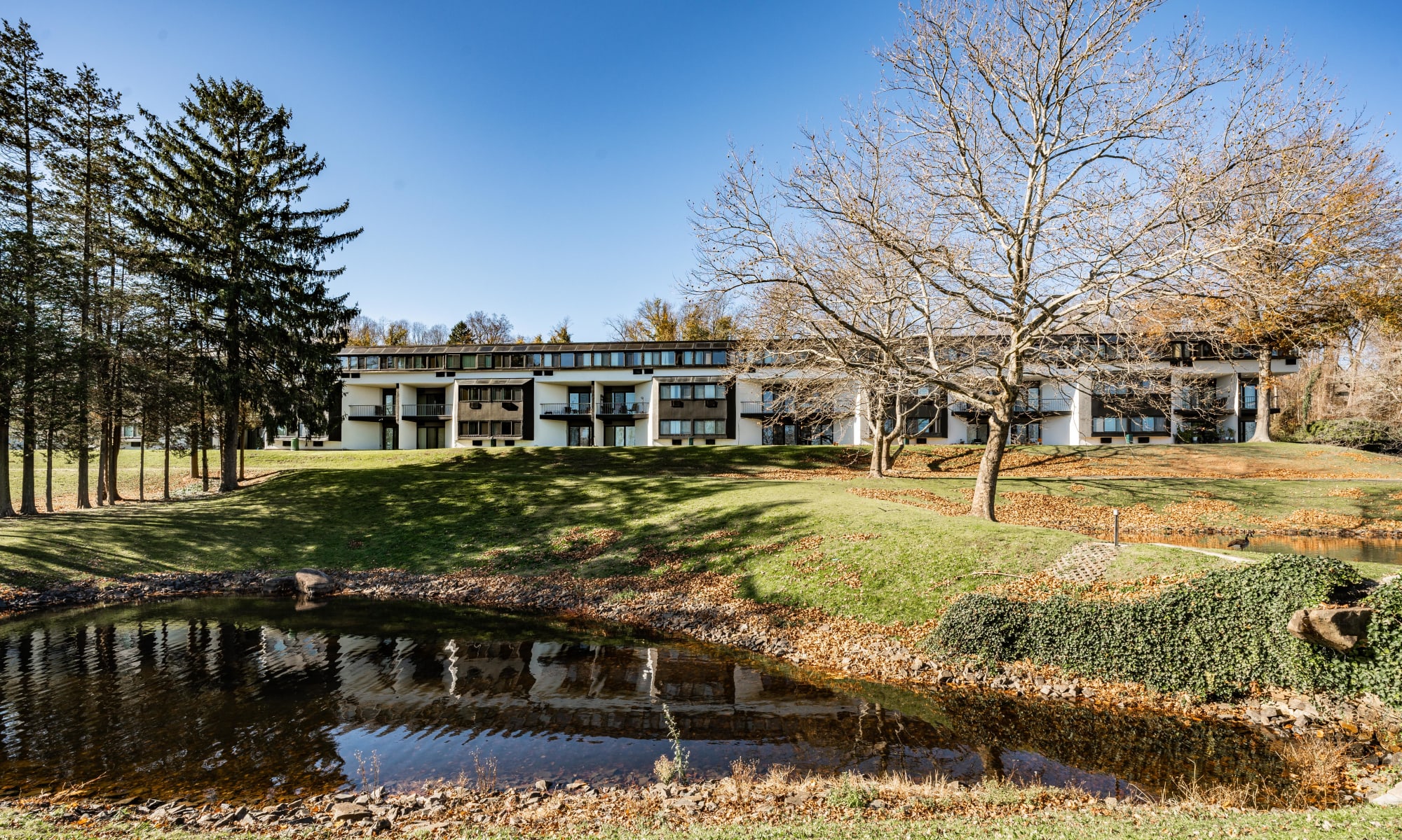 Apartments at Whitewood Pond Apartments in North Haven, Connecticut