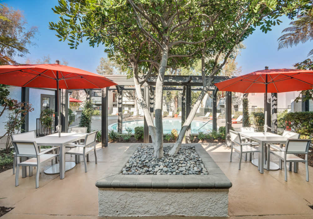 Outdoor seating area with umbrellas beside the pool at The Villas at Rowland Heights in Rowland Heights, California  