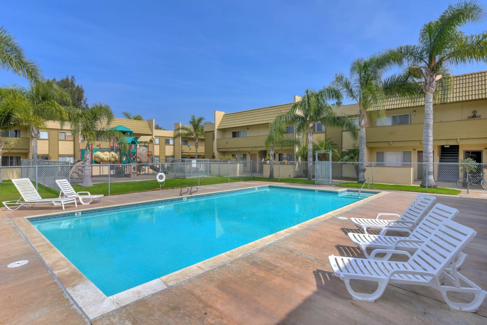 Swimming pool with palm trees at Royal Village Apartments in San Diego, California