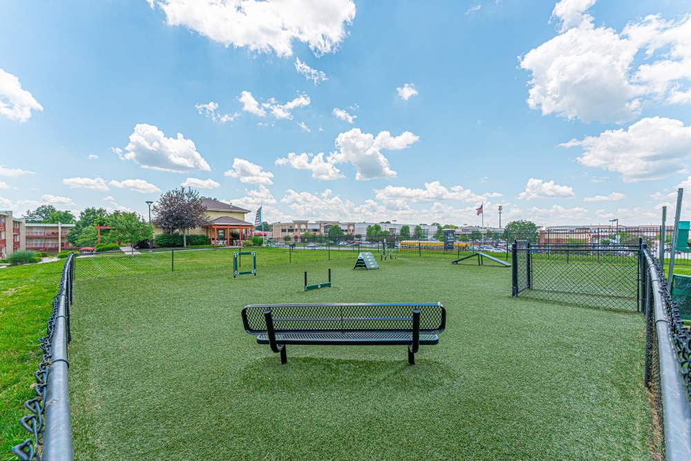 Bark park with community view at Tiger Village in Columbia, Missouri