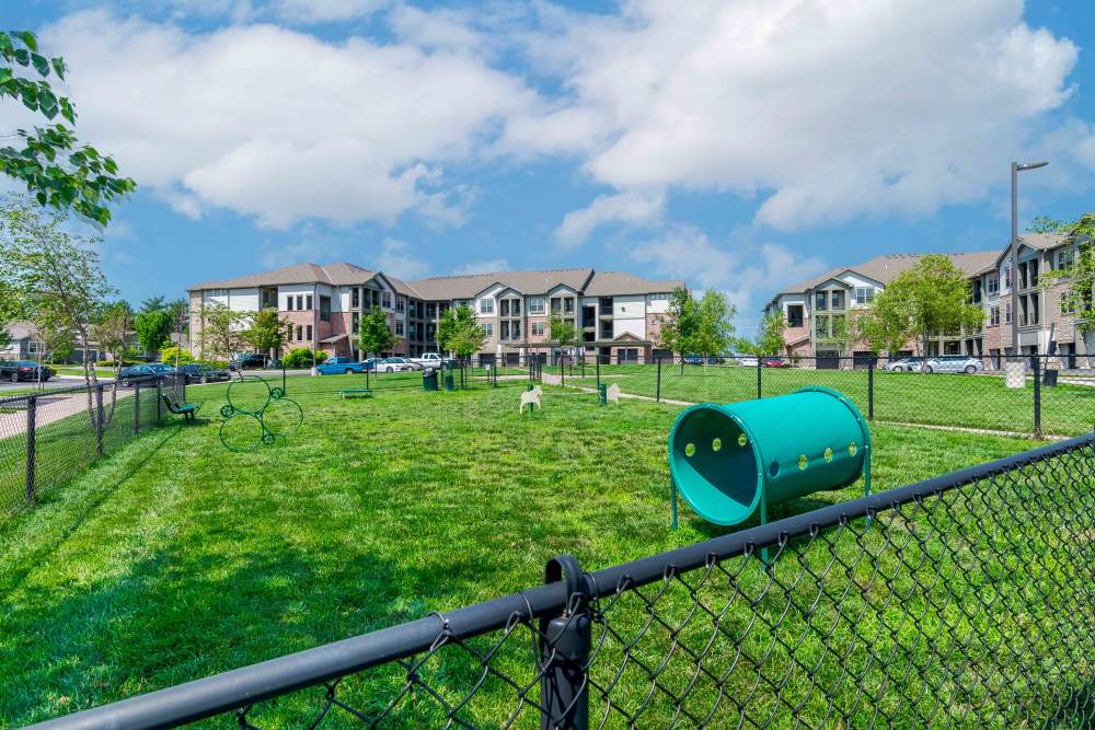 Pet park at Boulders at Overland Park Apartments in Overland Park, KS