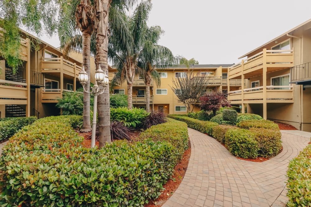 Lush vegetation outside of Bayfair Apartment Homes in San Lorenzo, California