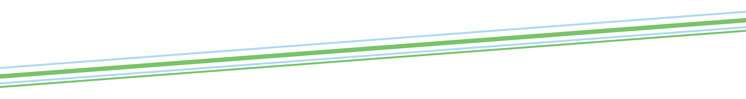 Divider Image