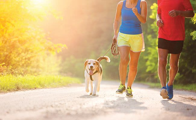 Residents running with dog on a trail near The Elms of Bloomfield in Bloomfield, NY