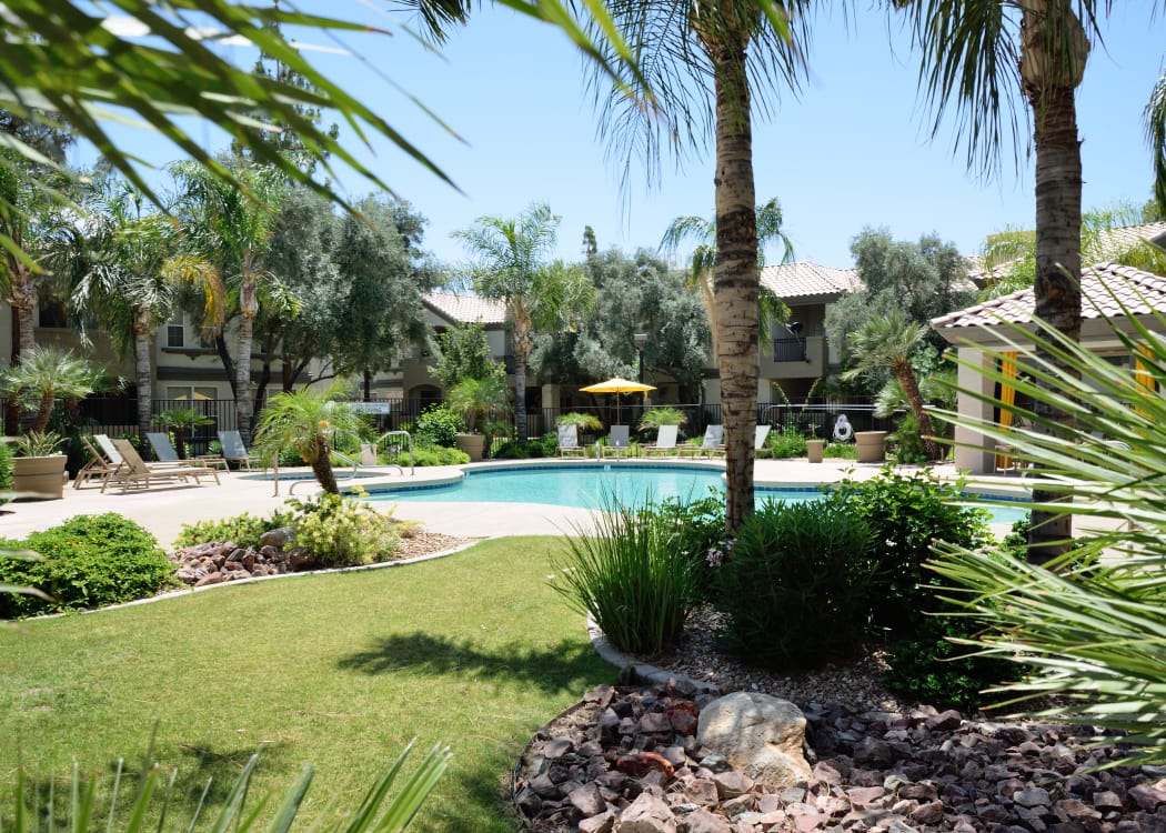 Beautiful flora near the pool at Lumiere Chandler in Chandler, Arizona