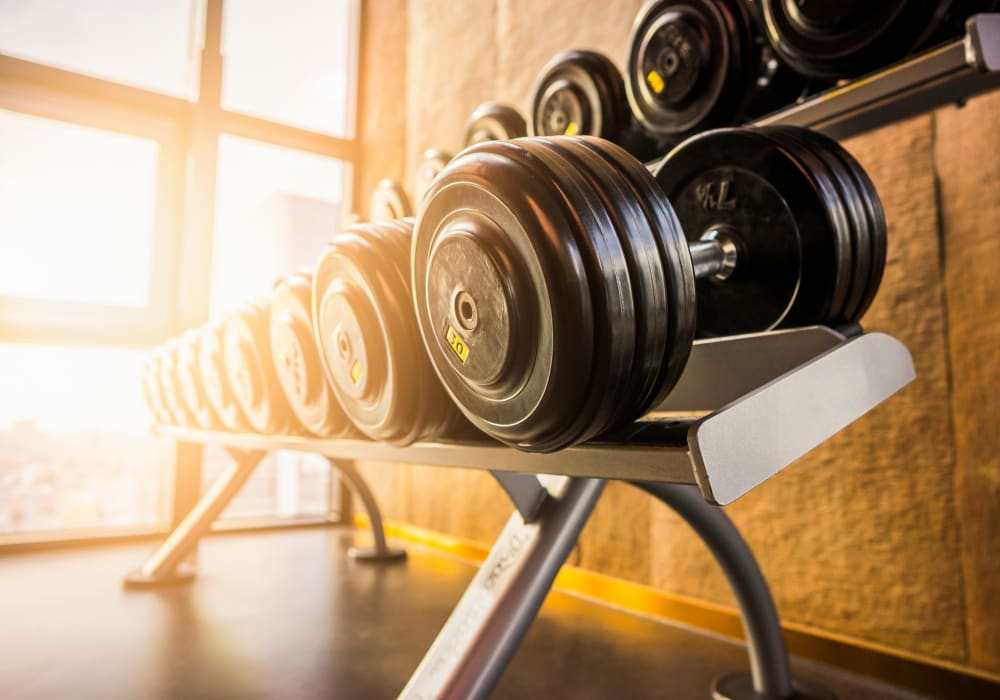 Weights in our gym at Fusion in Jacksonville, Florida