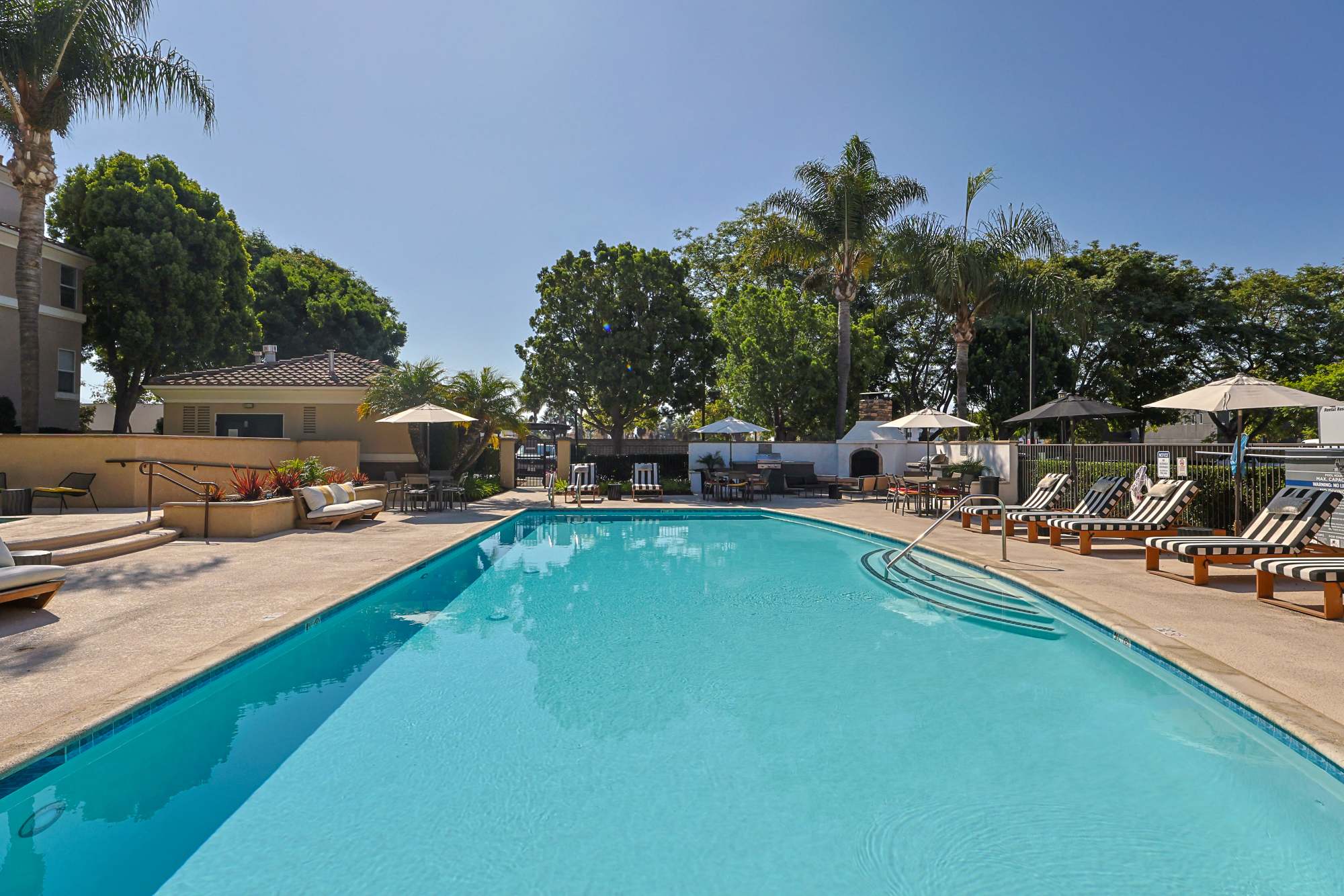 Swimming pool at Allure at Camarillo in Camarillo, California