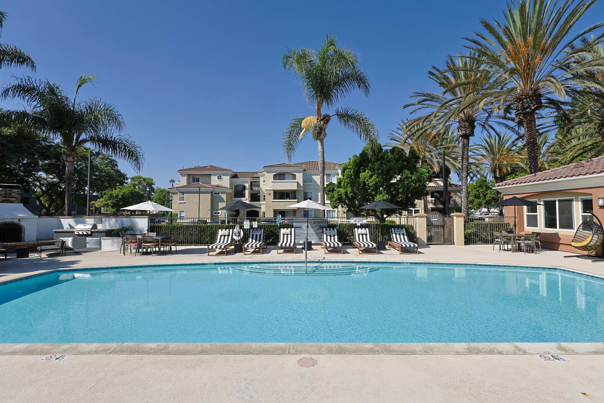 Swimming pool with lounge chairs at Allure at Camarillo in Camarillo, California
