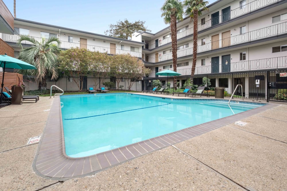 Resort-style pool with palm trees and shaded seating nearby at Sofi Redwood Park in Redwood City, California