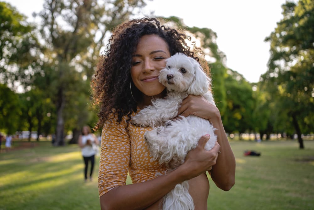 A small dog loving its new life at Meadow Wood Apartments in Smyrna, Tennessee
