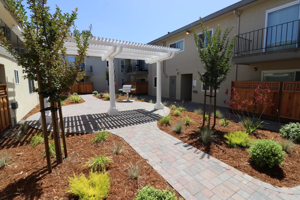 Courtyard outside of Marina Haven Apartment Homes in San Leandro, California