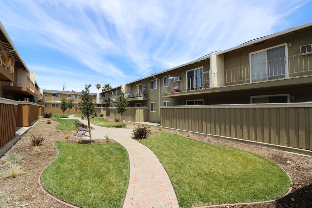 Outdoor space with walking path at Mountain View Apartments in Concord, California