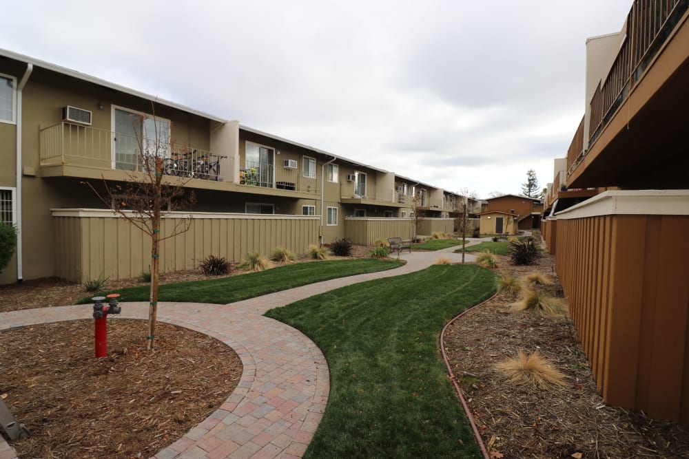 Manicured landscaping at Mountain View Apartments in Concord, California