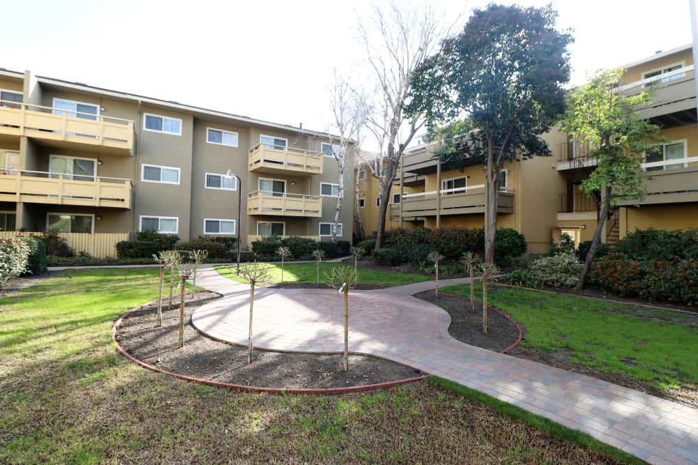 Courtyard at Bayfair Apartment Homes in San Lorenzo, California