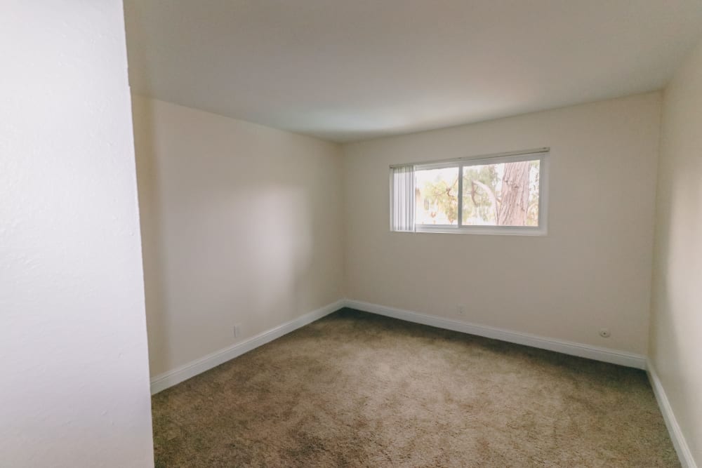 Model bedroom with plush carpet and window at Bayfair Apartment Homes in San Lorenzo, California