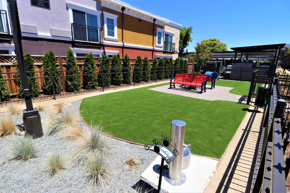 Onsite dog park at Ramblewood Apartment Homes in Fremont, California
