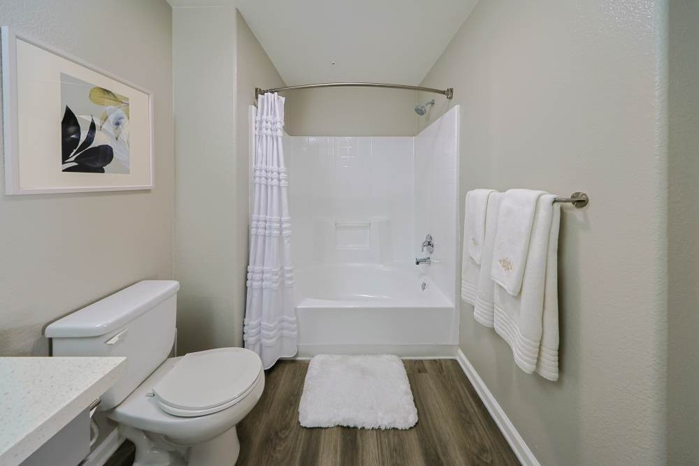 Bathroom at Allure at Camarillo in Camarillo, California