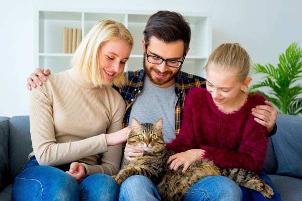 Family with a cat enjoying time together at Enclave 50 in Ballston Spa, New York