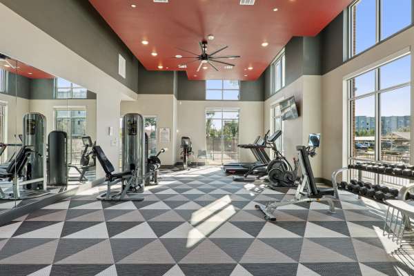 Luxurious Gym at Reserve at Woodland Lakes