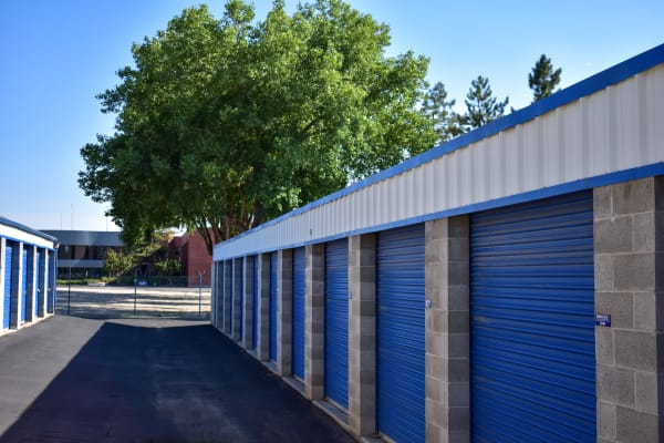 A big tree behind exterior storage units at STOR-N-LOCK Self Storage in Sandy, Utah