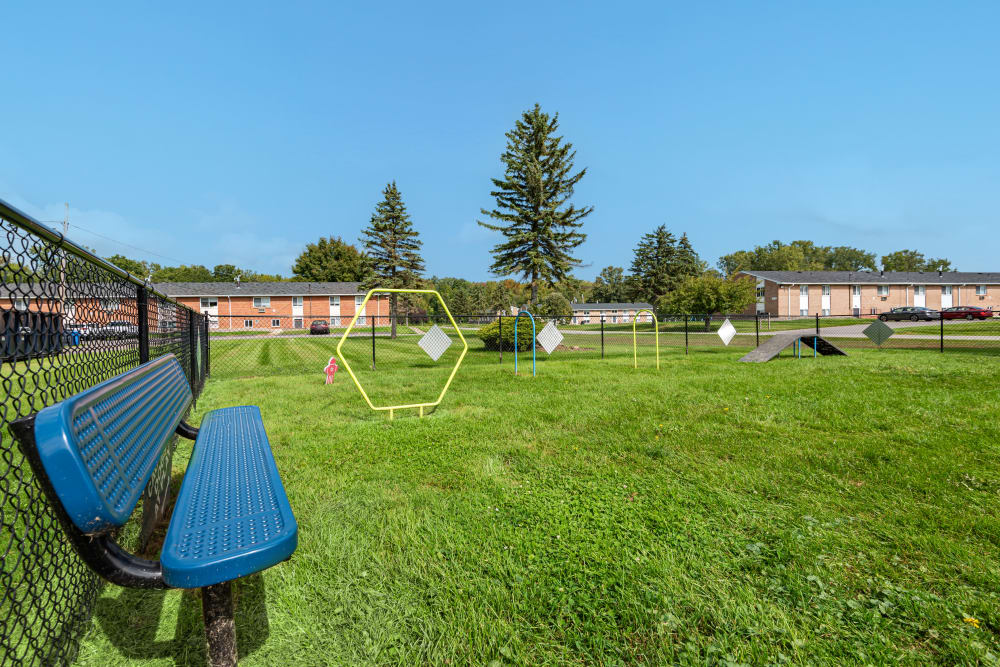 Fenced dog park with a bench and agility equipment