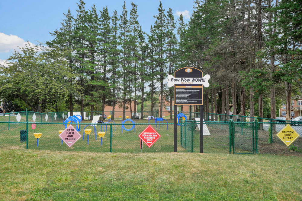 Onsite dog park with agility equipment at Stoneridge at Mark Center Apartment Homes in Alexandria, Virginia