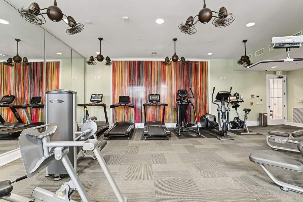 Cardio equipment in the fitness center at Fountains at Mooresville Town Square in Mooresville, North Carolina