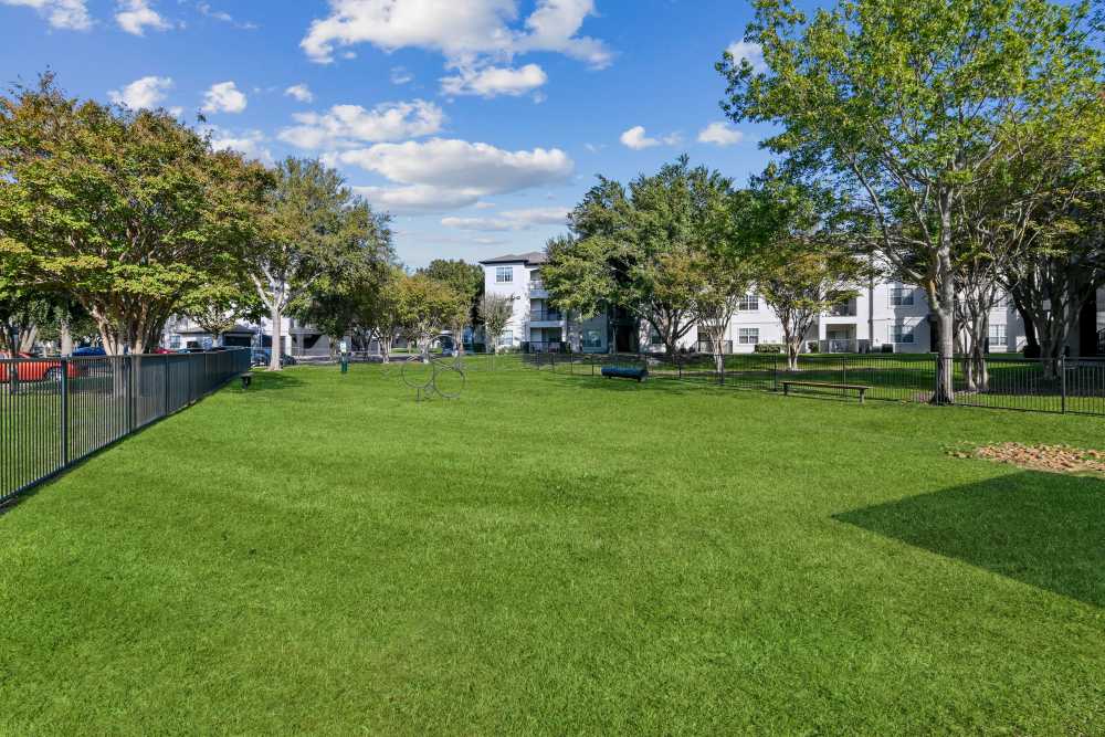 Bark park at St. Martin in Frisco, Texas,