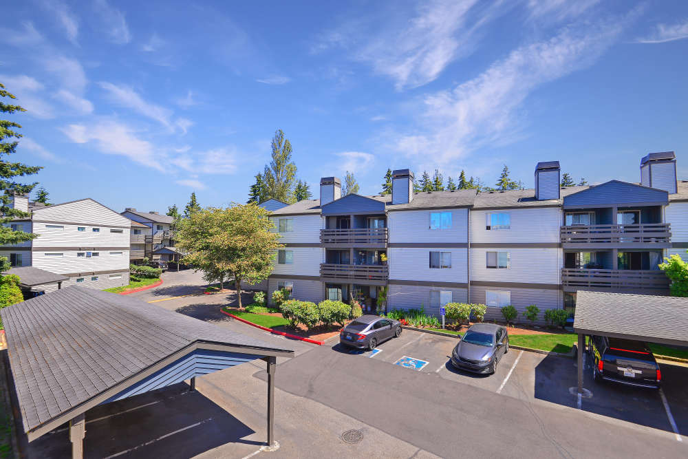 Open grassy area at Latitude Apartments in Everett, Washington