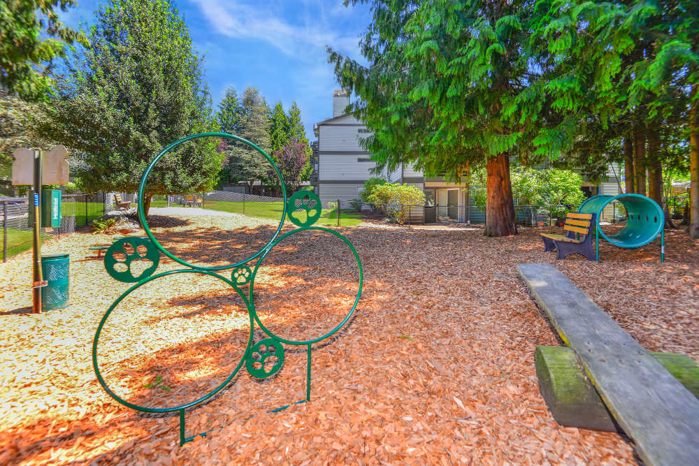 Off-leash onsite dog park with toys at Latitude Apartments in Everett, Washington