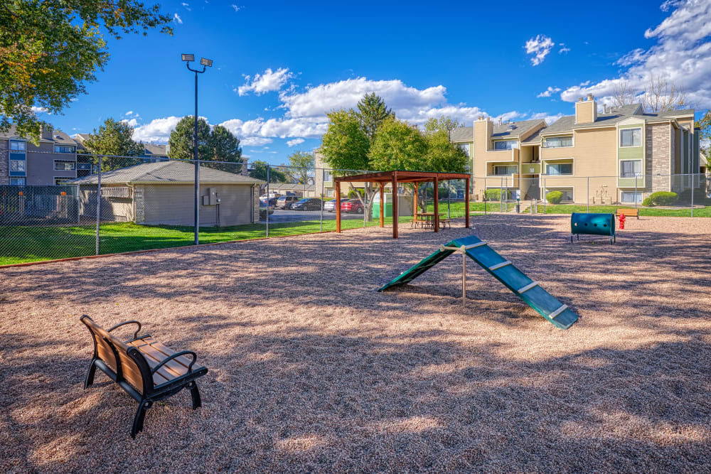 Have fun with your furry friend in the dog park at Alton Green Apartments in Denver, Colorado