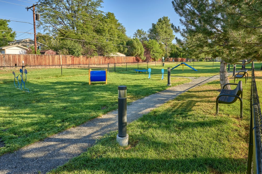 Outdoor park for dogs to run around in at Bear Valley Park in Denver, Colorado