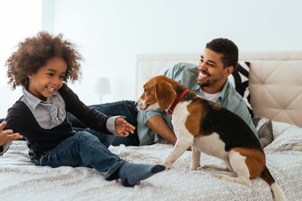 A father, son and their dog enjoying their new apartment at Crossroads at City Center Apartments in Aurora, Colorado