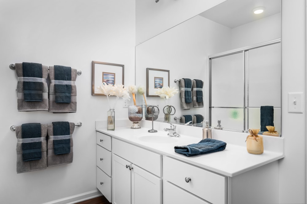 Bathroom at The Apartments at Spence Crossing, Virginia Beach, Virginia