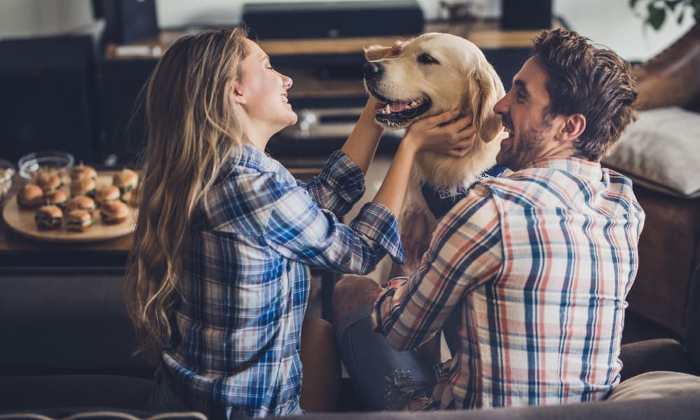 Dog getting some love from its owners in their new home at Sofi at 3rd in Long Beach, California