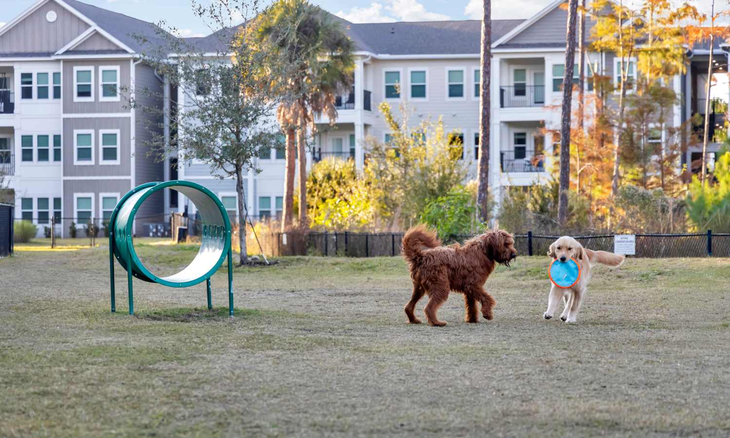 Dog park at The Carlton of Fort Myers in Fort Myers, Florida