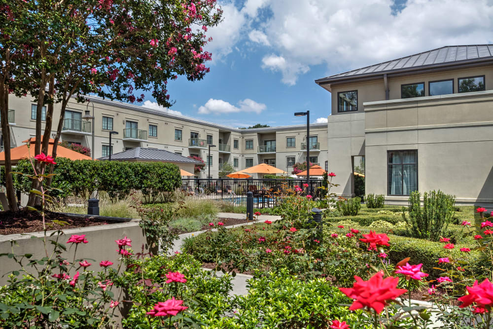 Rose garden in the tranquil courtyard at SouthPark Morrison in Charlotte, North Carolina