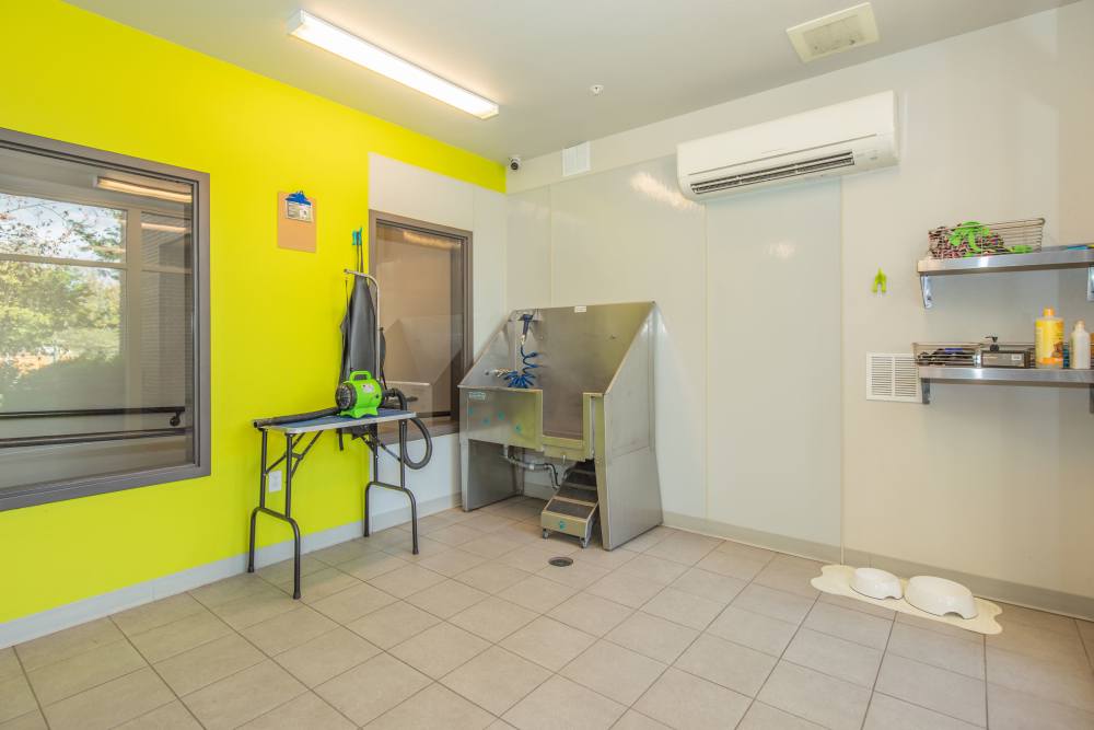 Community pet wash area at Park Place Olde Town Apartments in Arvada, Colorado