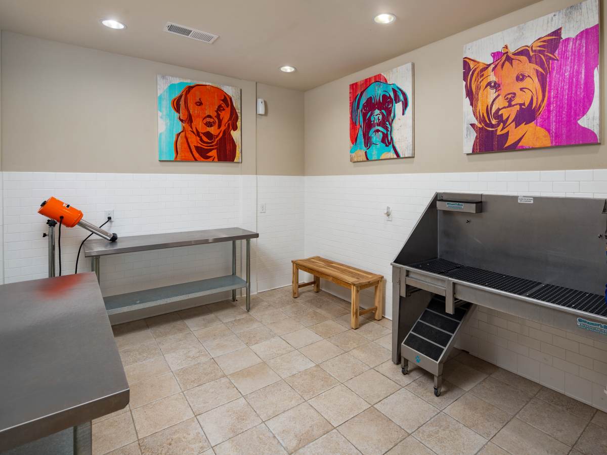 Luxury stainless steel wash station with colorful dog art at Ardmore & Twenty Eighth in Atlanta, Georgia